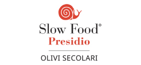 logo8